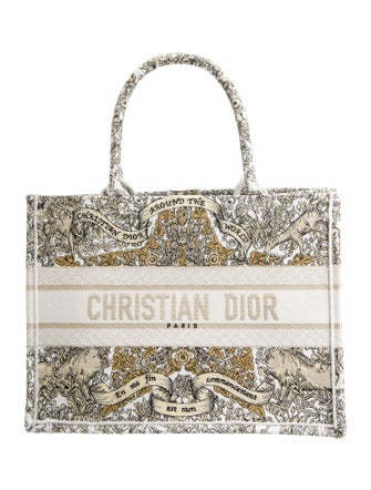 Christian Dior Canvas Book Medium 2024