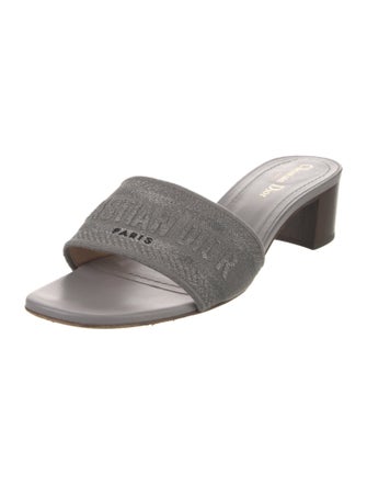 Christian Dior Canvas Slides