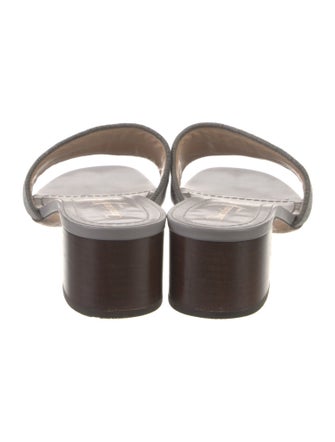 Christian Dior Canvas Slides