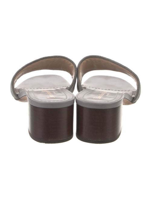 Christian Dior Canvas Slides