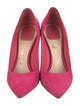 Christian Dior Suede Pumps