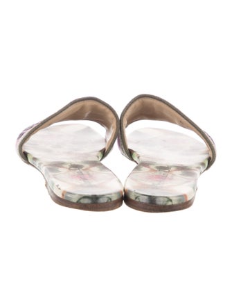 Christian Dior Canvas Printed Slides