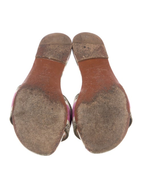 Christian Dior Canvas Printed Slides