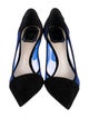 Christian Dior Suede Mesh Accents Pumps