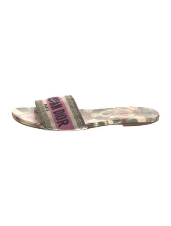 Christian Dior Canvas Printed Slides