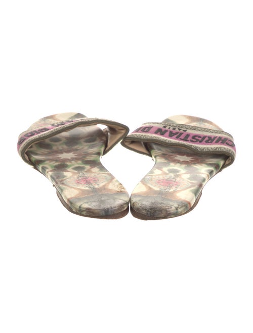 Christian Dior Canvas Printed Slides