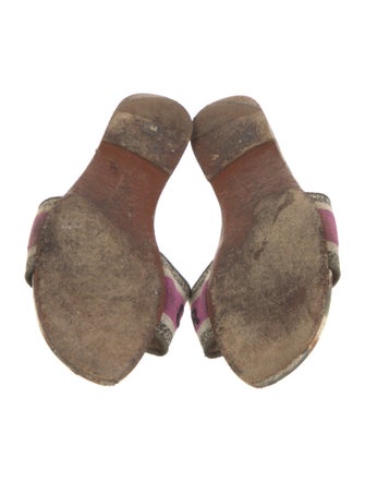 Christian Dior Canvas Printed Slides