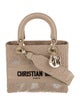 Christian Dior Canvas D-Lite Medium 2023