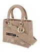 Christian Dior Canvas D-Lite Medium 2023