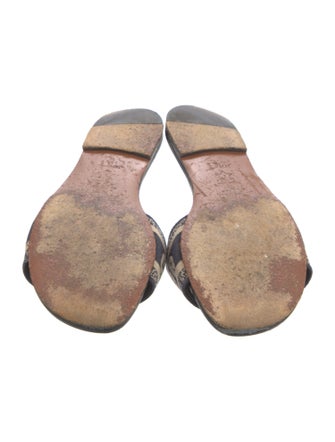 Christian Dior Canvas Printed Slides