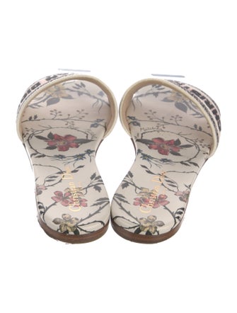 Christian Dior Canvas Printed Slides