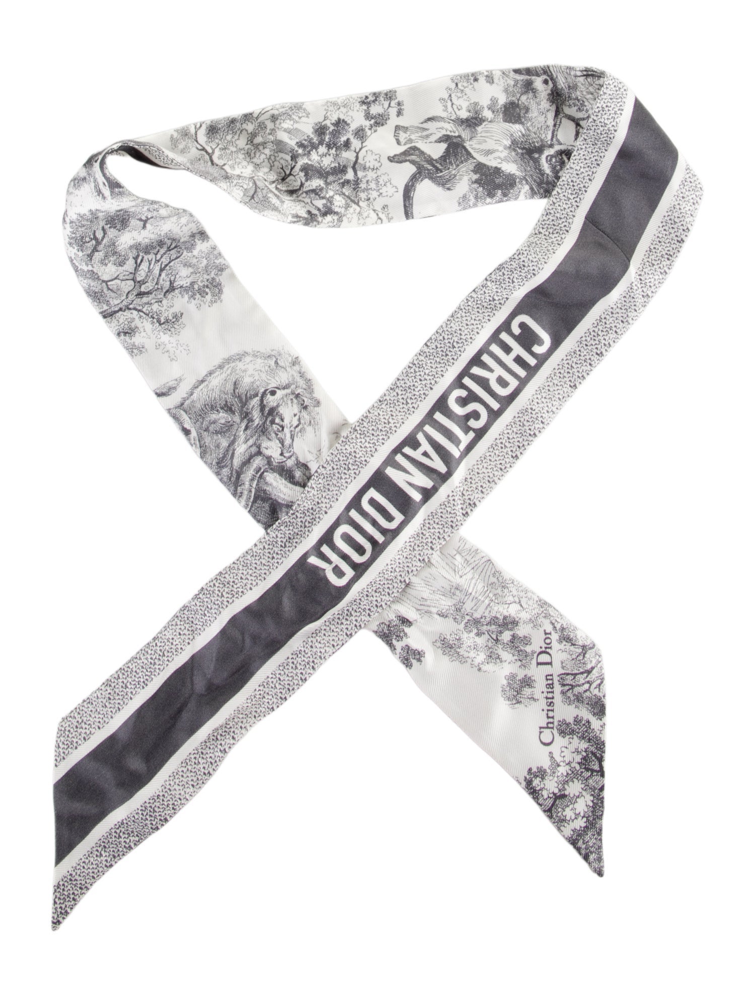 Christian Dior Printed Silk scarf