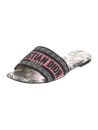 Christian Dior Canvas Printed Slides