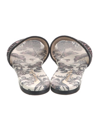 Christian Dior Canvas Printed Slides