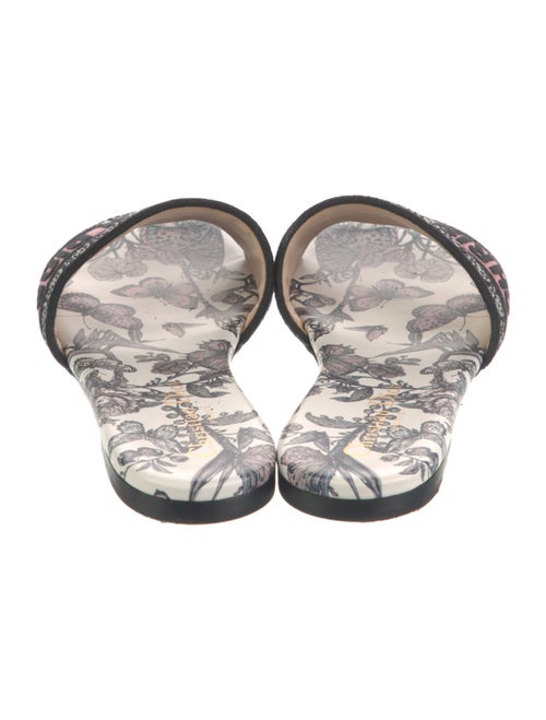Christian Dior Canvas Printed Slides