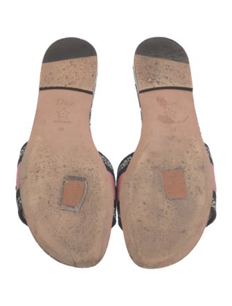 Christian Dior Canvas Printed Slides