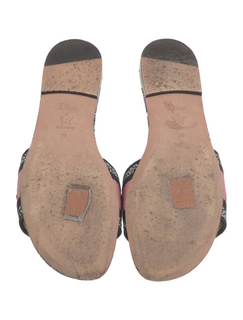 Christian Dior Canvas Printed Slides