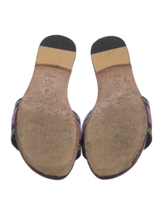 Christian Dior Canvas Printed Slides