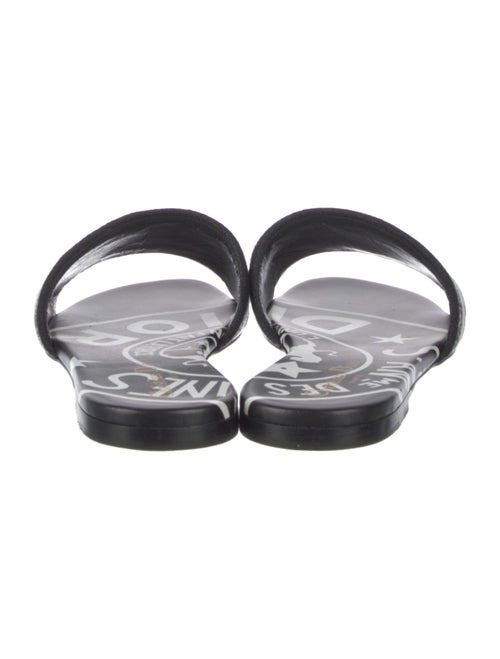 Christian Dior Canvas Printed Slides