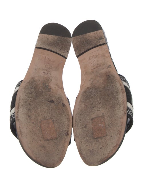 Christian Dior Canvas Printed Slides