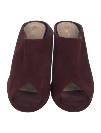 Christian Dior Suede Mules