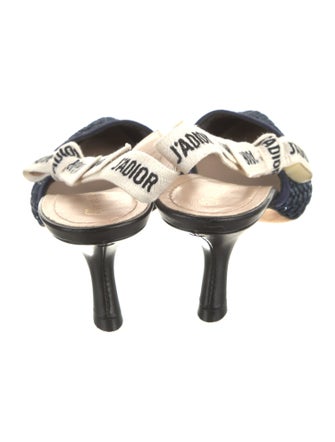 Christian Dior Mesh Printed Slingback Pumps