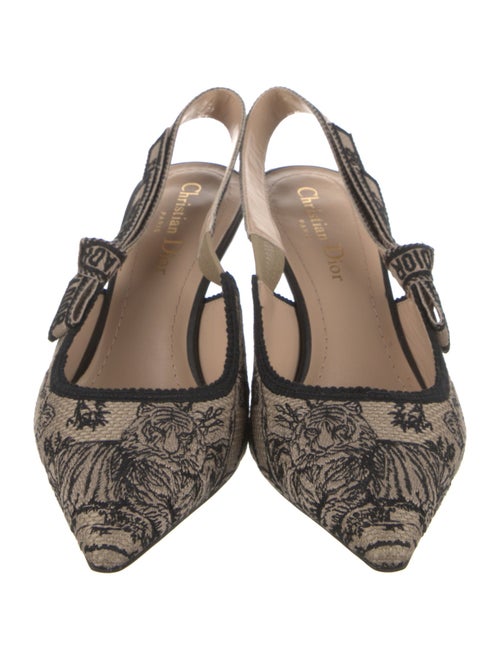 Christian Dior 2023 Toile de Jouy Slingback Pumps