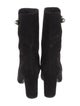 Christian Dior Suede Boots
