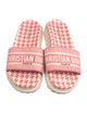 Christian Dior Printed Slides