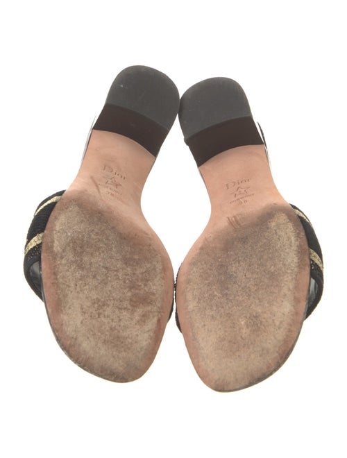 Christian Dior Canvas Printed Slides