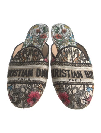Christian Dior Canvas Printed Mules