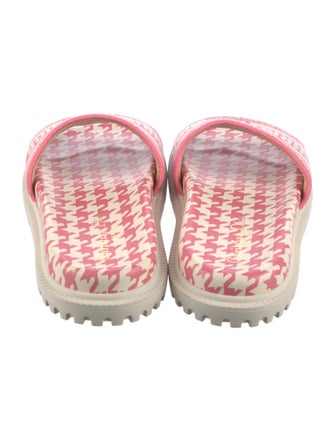 Christian Dior Canvas Printed Slides