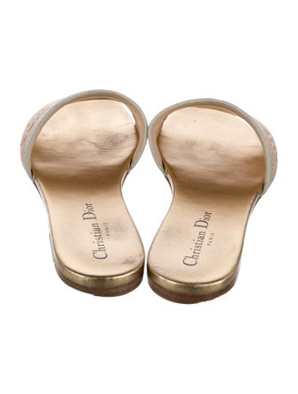 Christian Dior Printed Slides