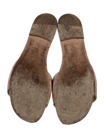 Christian Dior Printed Slides