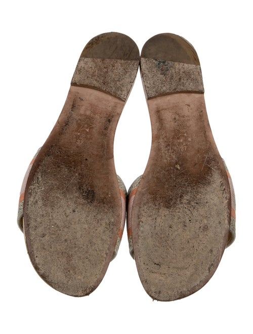 Christian Dior Printed Slides