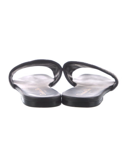 Christian Dior Printed Embroidered Accent Slides