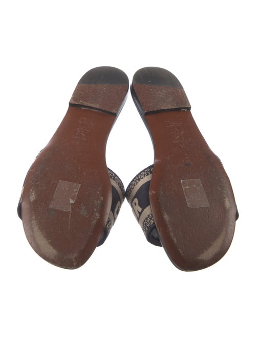 Christian Dior Printed Embroidered Accent Slides