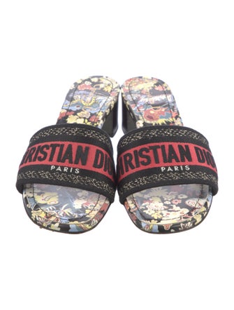 Christian Dior Canvas Printed Slides