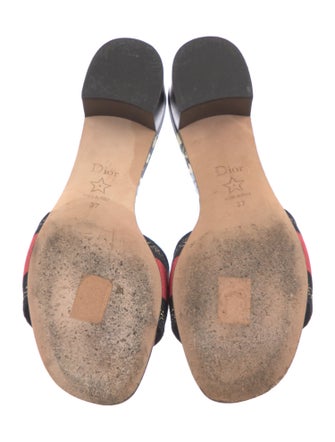 Christian Dior Canvas Printed Slides