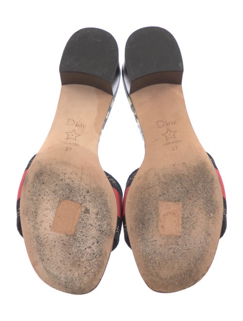 Christian Dior Canvas Printed Slides