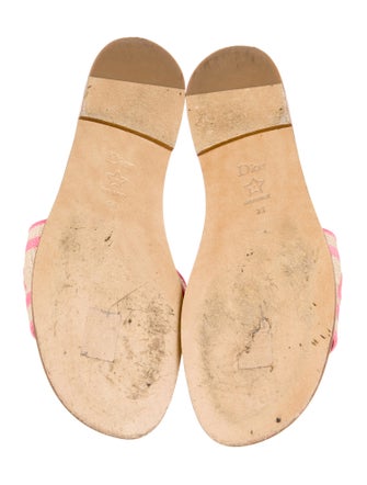 Christian Dior Canvas Graphic Print Slides