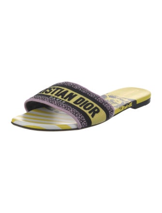 Christian Dior Canvas Printed Slides
