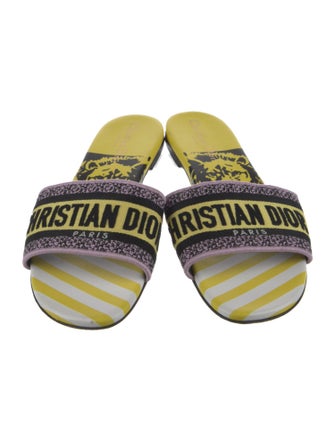 Christian Dior Canvas Printed Slides