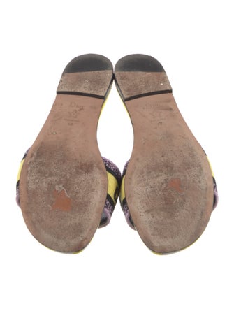 Christian Dior Canvas Printed Slides