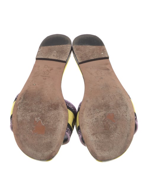 Christian Dior Canvas Printed Slides