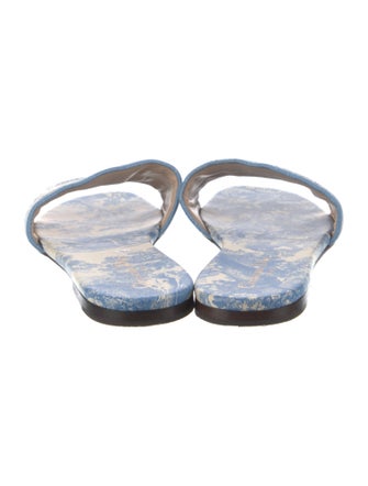 Christian Dior Canvas Printed Slides