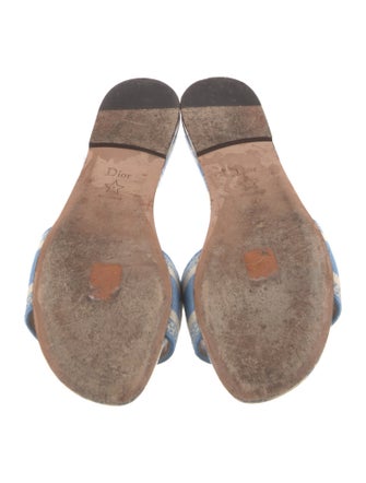 Christian Dior Canvas Printed Slides