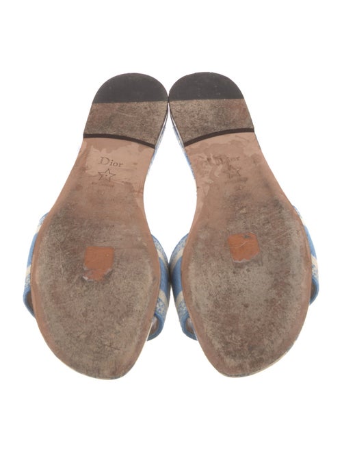 Christian Dior Canvas Printed Slides