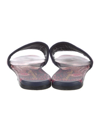 Christian Dior Printed Embroidered Accent Slides