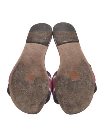 Christian Dior Printed Embroidered Accent Slides